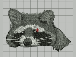 Raccoon 3